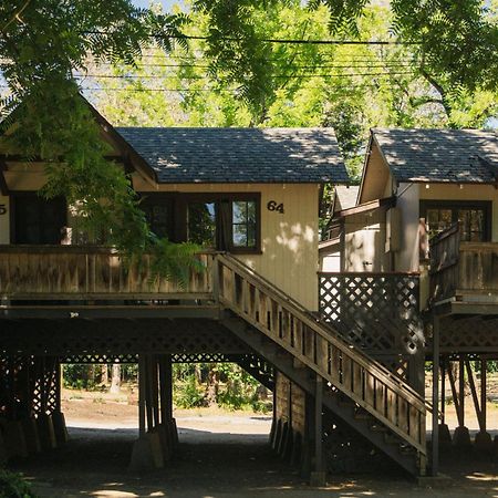 Johnson'S Beach Cabins And Campground Guerneville Eksteriør bilde
