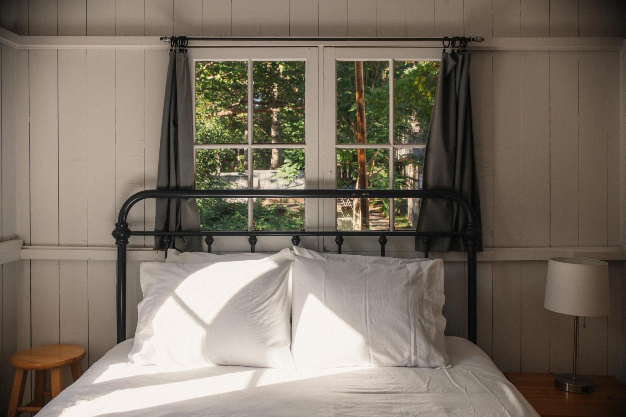Johnson'S Beach Cabins And Campground Guerneville Eksteriør bilde
