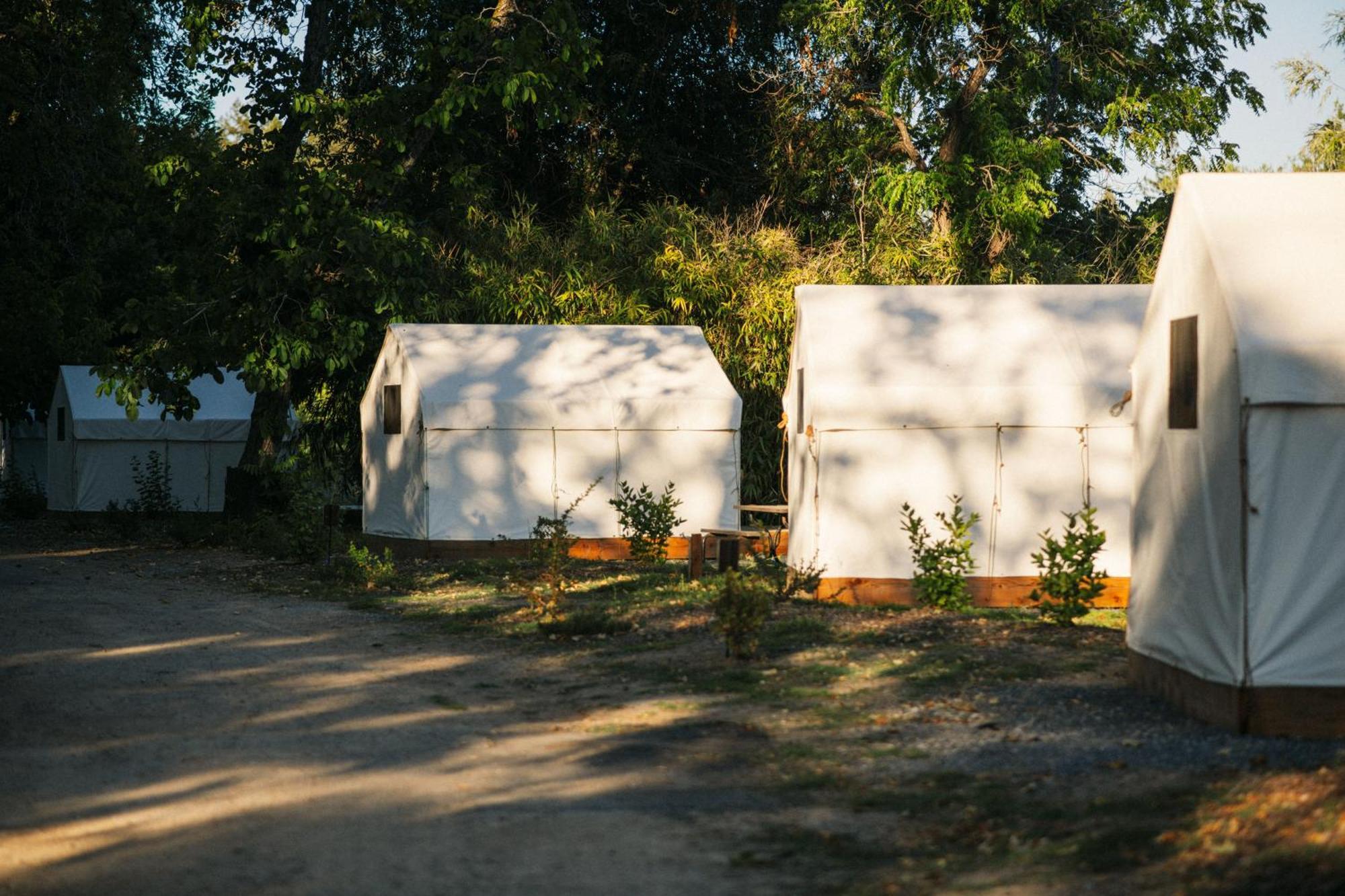 Johnson'S Beach Cabins And Campground Guerneville Eksteriør bilde