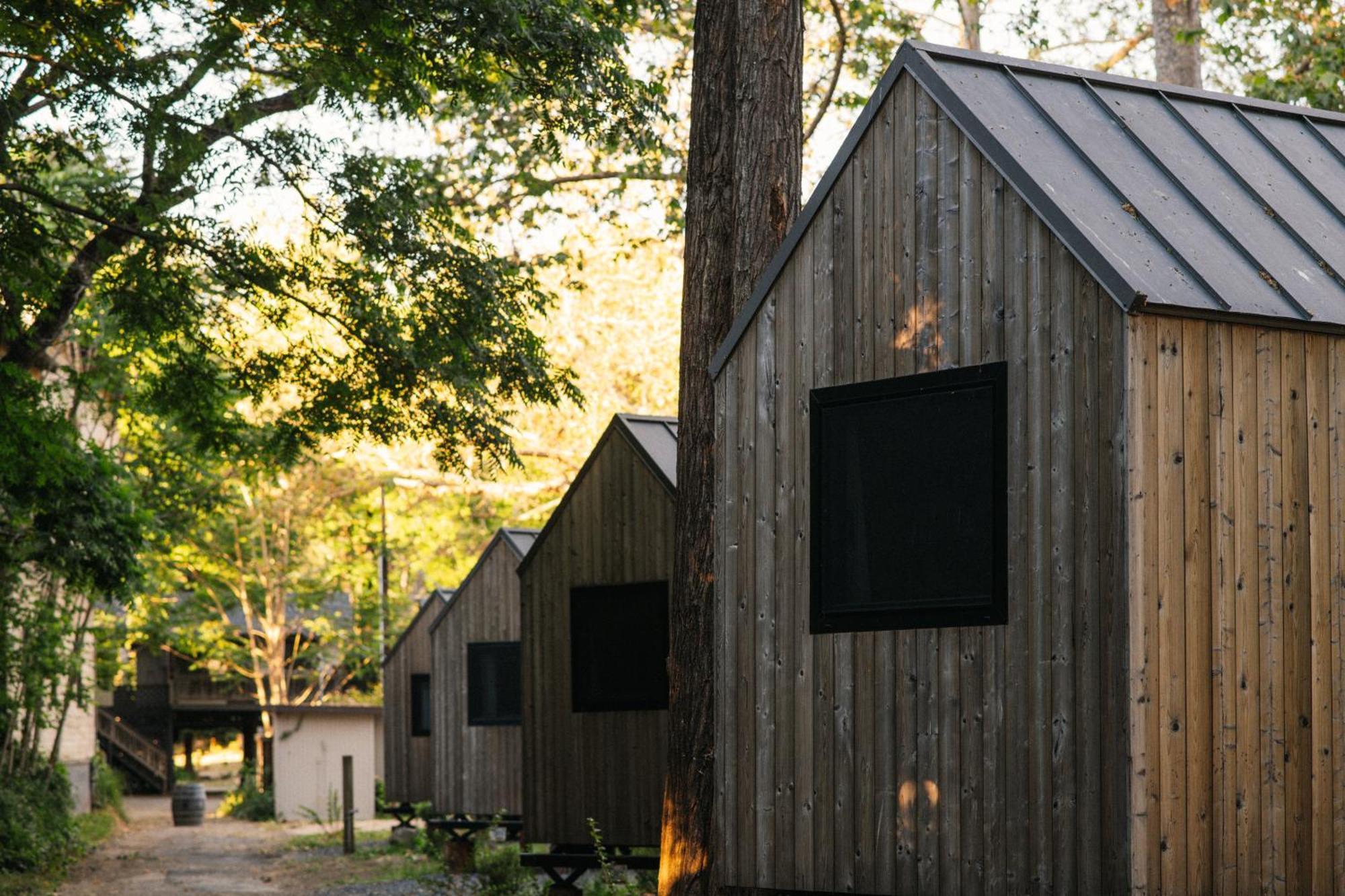 Johnson'S Beach Cabins And Campground Guerneville Eksteriør bilde
